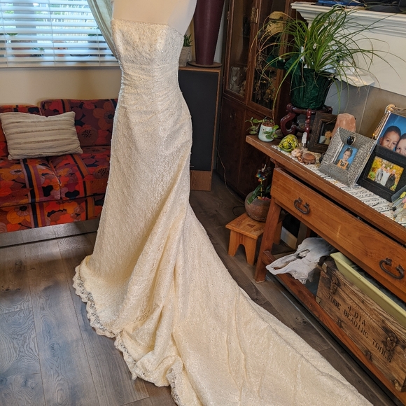 Pronovias Albeniz Tirso Wedding dress - Picture 11 of 15